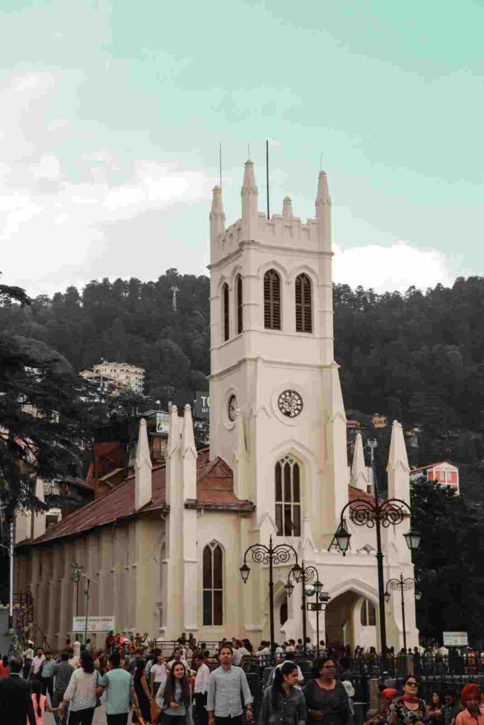 SEO EXPERT IN SHIMLA